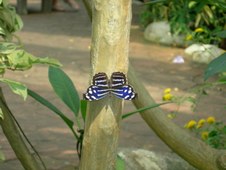 Enlarge photo 90