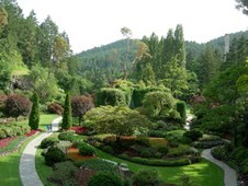 Enlarge photo 95