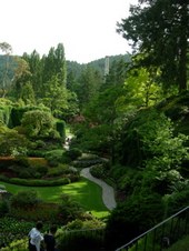 Enlarge photo 96