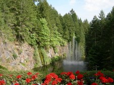 Enlarge photo 98
