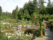 Enlarge photo 104