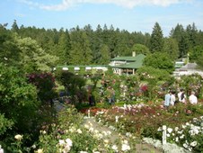 Enlarge photo 105