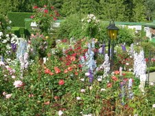 Enlarge photo 106