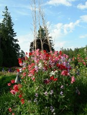 Enlarge photo 108