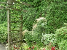 Enlarge photo 153
