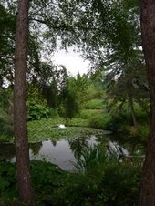 Enlarge photo 154