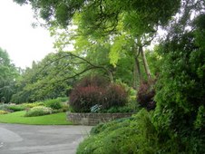 Enlarge photo 155