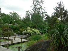 Enlarge photo 156
