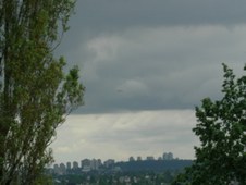 Enlarge photo 168