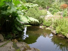 Enlarge photo 170