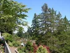Enlarge photo 189