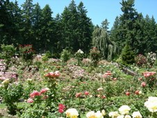 Enlarge photo 195
