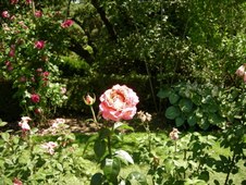 Enlarge photo 197