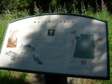 Enlarge photo 240