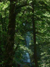 Enlarge photo 244