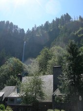 Enlarge photo 246