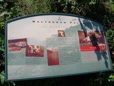 Enlarge photo 245