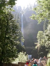 Enlarge photo 247