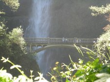Enlarge photo 248
