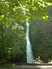 Enlarge photo 251