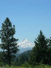 Enlarge photo 253