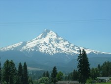 Enlarge photo 254