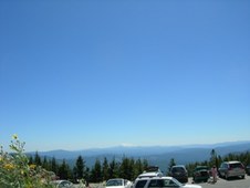Enlarge photo 259