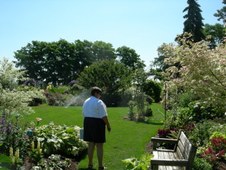 Enlarge photo 262