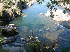 Enlarge photo 272
