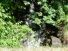 Enlarge photo 273