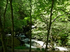 Enlarge photo 276