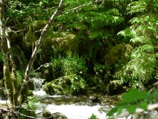 Enlarge photo 278