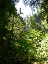 Enlarge photo 279