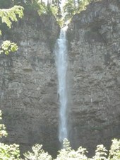 Enlarge photo 280