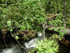 Enlarge photo 281