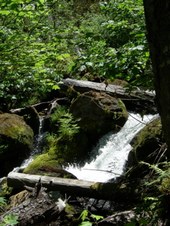 Enlarge photo 283