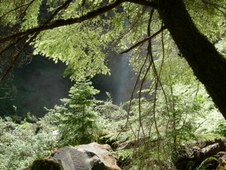 Enlarge photo 286