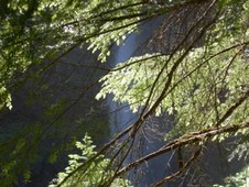 Enlarge photo 287