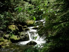 Enlarge photo 289