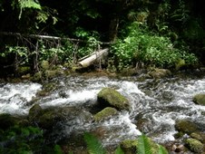 Enlarge photo 290