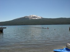 Enlarge photo 293