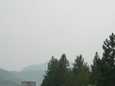 Enlarge photo 328