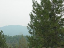 Enlarge photo 330