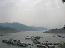 Enlarge photo 336