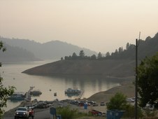 Enlarge photo 337