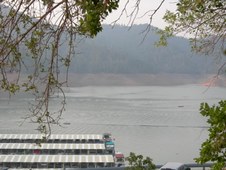 Enlarge photo 338