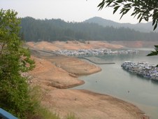 Enlarge photo 340