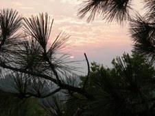 Enlarge photo 350