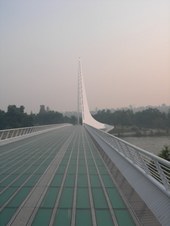 Enlarge photo 352