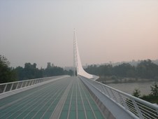 Enlarge photo 354